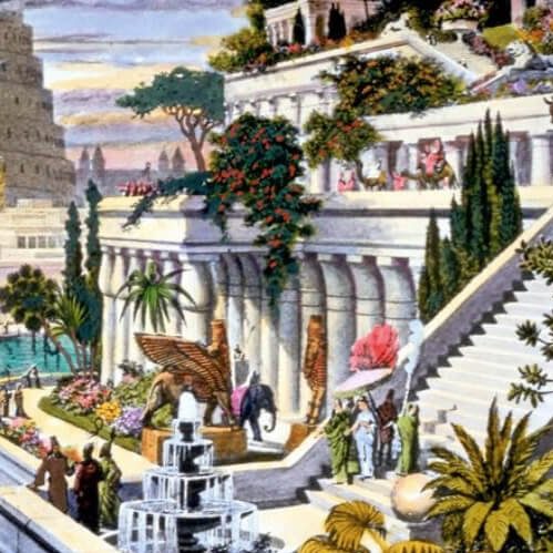 GalleryArtCollectorNetworking